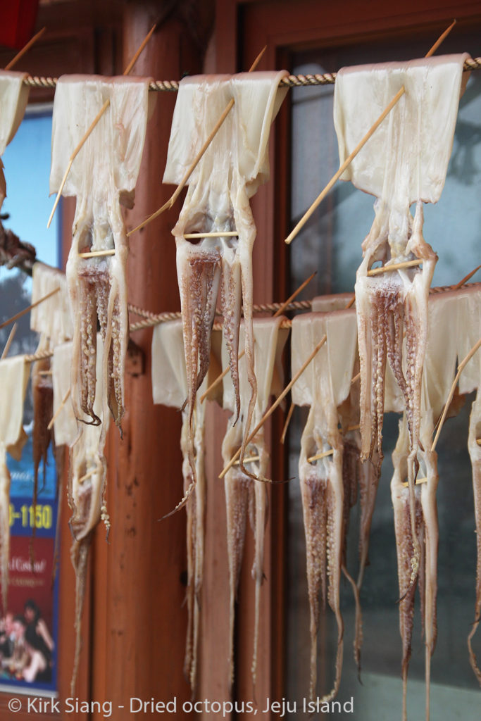 poulpe fruit de mer seiche poisson street food coréenne